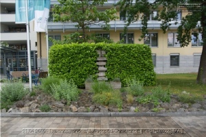 Brunnen dieser Stadt